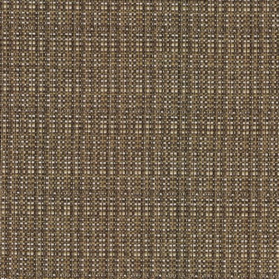 Kasmir BOUVIER          TIGERS EYE      